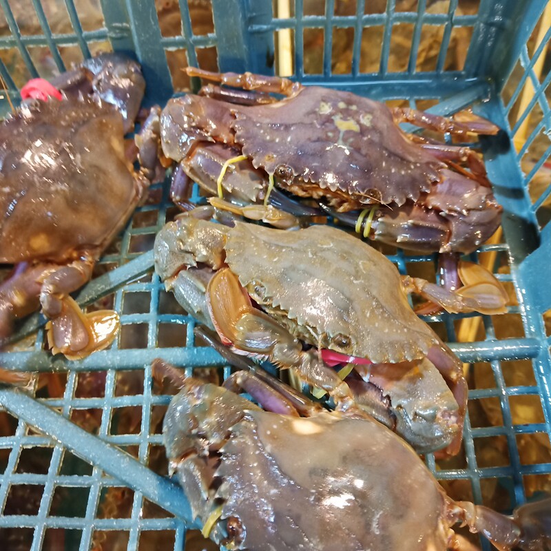 生鲜批发行业的痛点与解决方案