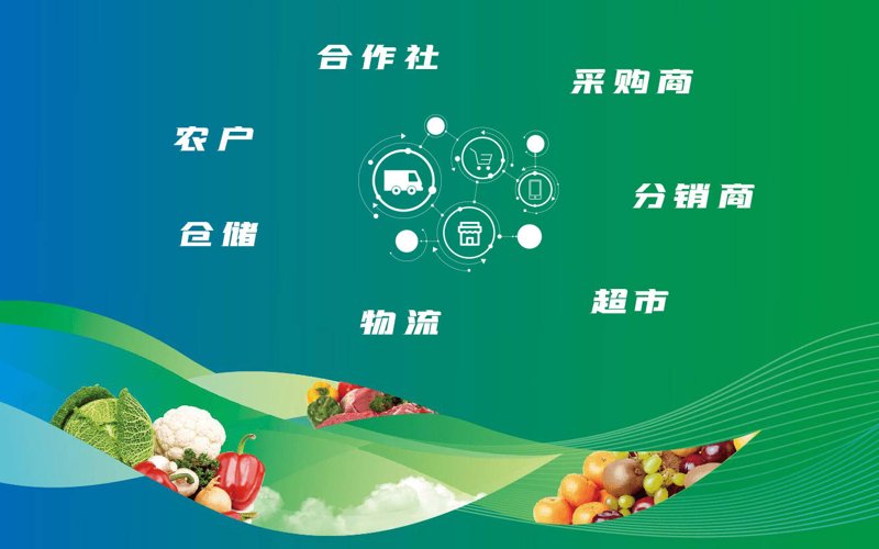 案例解读:如何优化农产品供应链