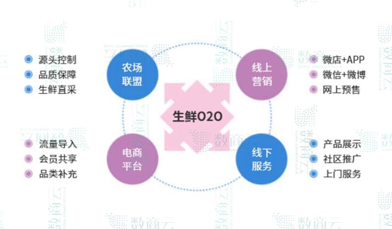 生鲜批发行业的生存之道：如何在竞争中脱颖而出