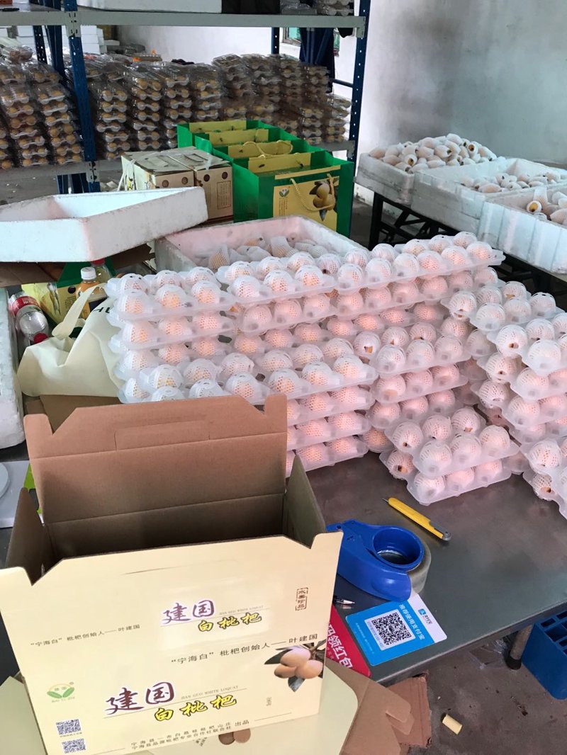 生鲜电商平台：未来趋势与市场洞察