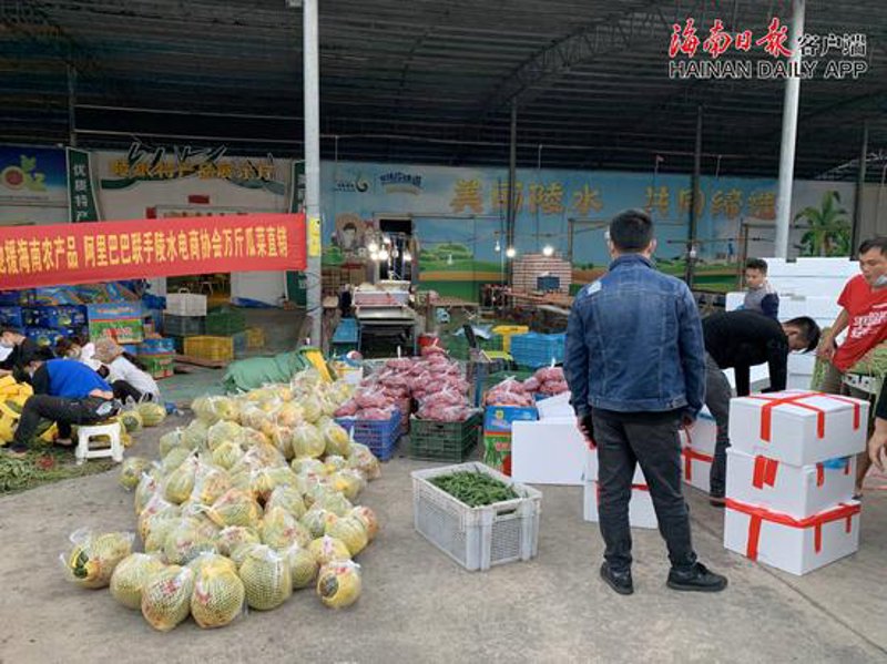 如何在激烈的生鲜批发市场竞争中脱颖而出？听听资深卖家的实战攻略。